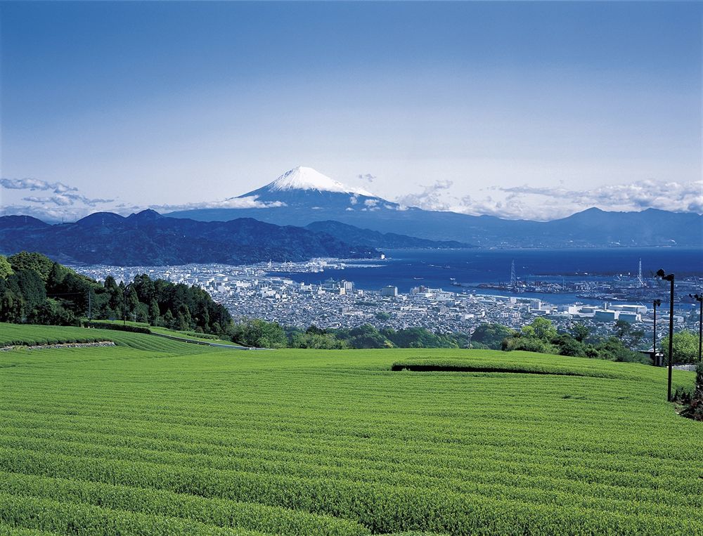 Shizuoka Kita Washington Hotel Plaza Eksteriør bilde
